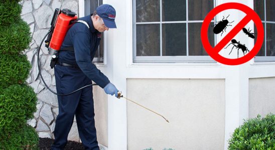 Çayıralan Böcek ve Haşere İlaçlama böcek ilaçlama ve haşere kontrolü — ilaclama-tr.com